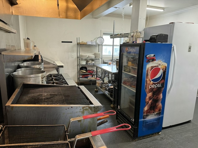 kitchen with freestanding refrigerator and ornamental molding