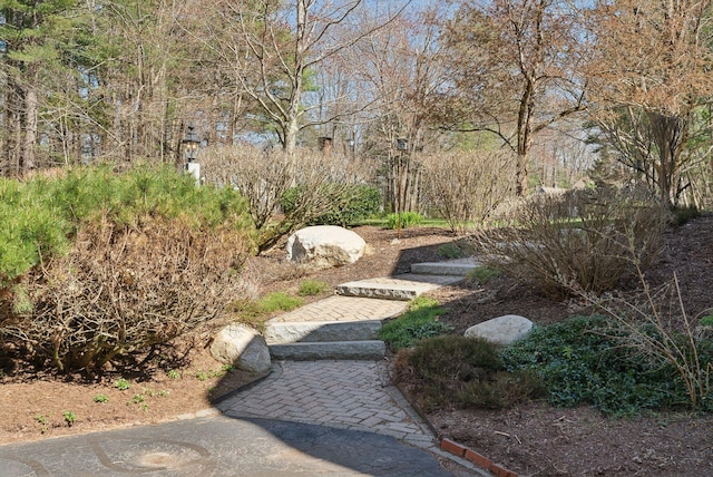 19 Windsor Pines Dr, Scarborough, ME 04074 - view of yard
