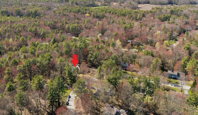 19 Windsor Pines Dr, Scarborough, ME 04074 - aerial view of property's location with a forest