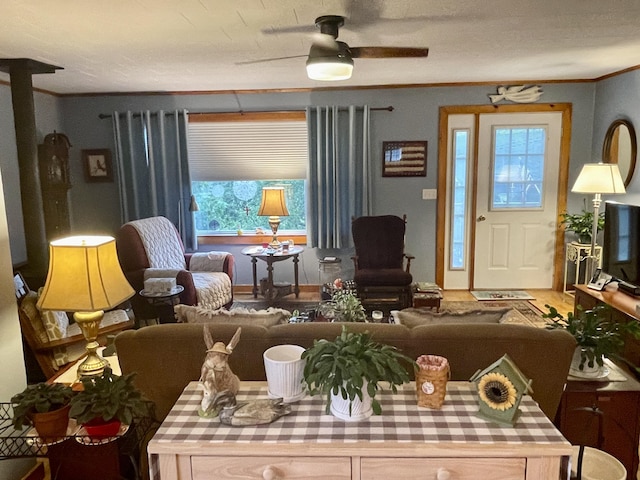 living room with ornamental molding and ceiling fan