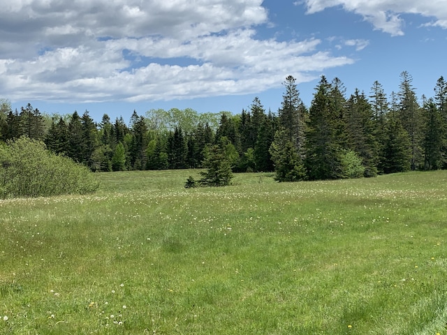 view of nature with a wooded view
