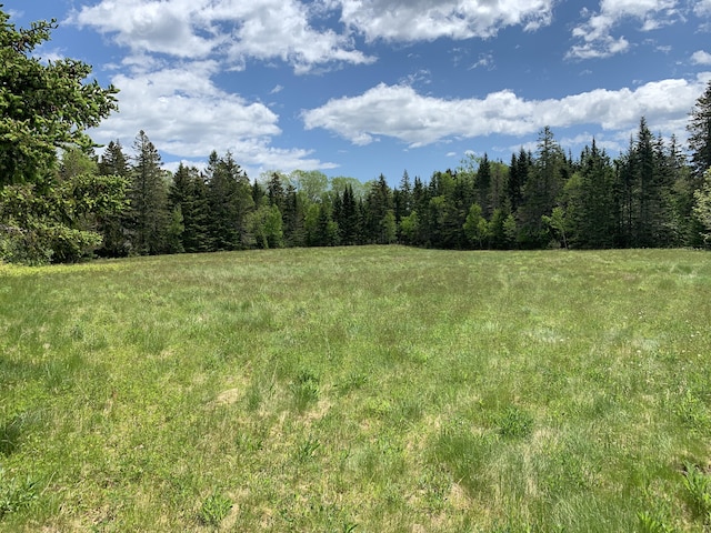 view of nature featuring a wooded view