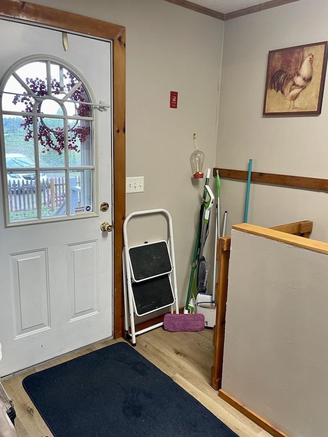 entryway featuring wood finished floors