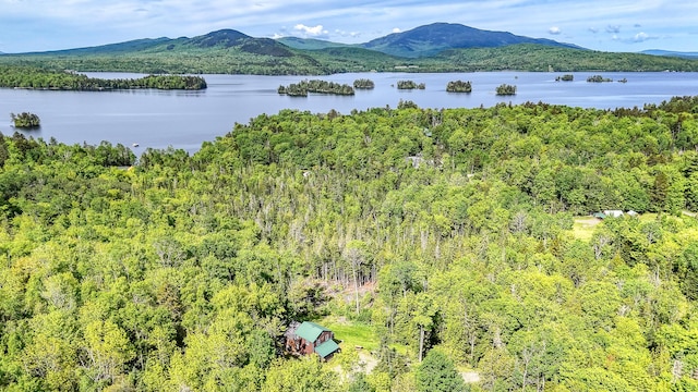 bird's eye view featuring a view of trees and a water and mountain view