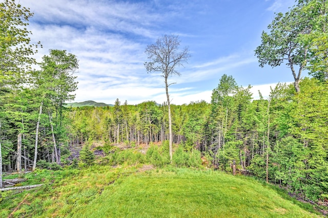 view of yard featuring a view of trees and a mountain view