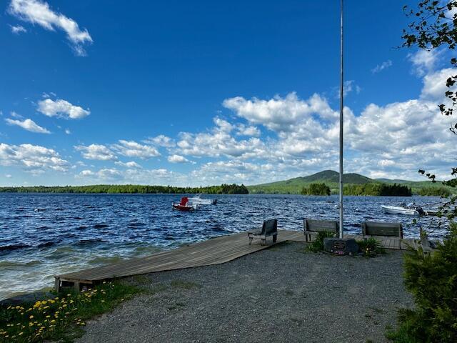 water view featuring a dock