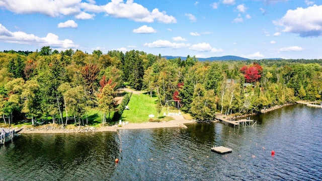90 Manor Dr, Rangeley, ME 04970 - aerial view with a view of trees and a water view