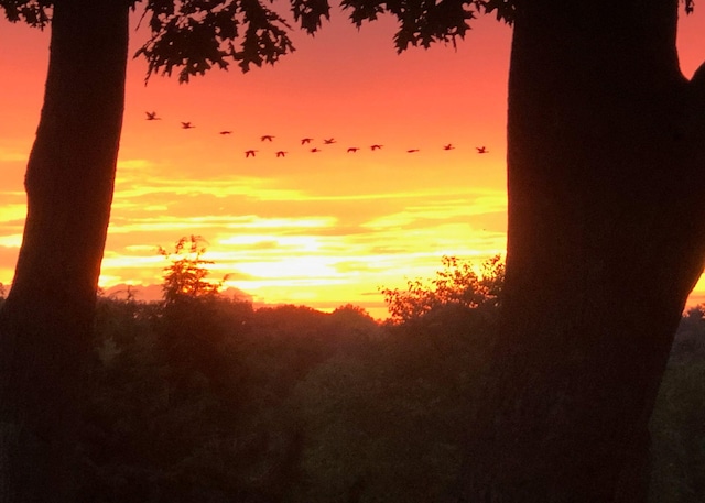 view of nature