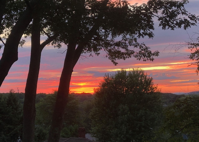 view of nature at dusk