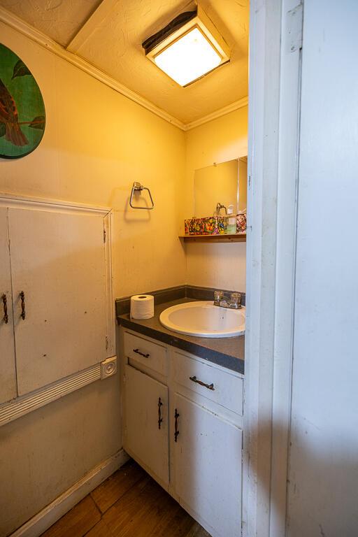bathroom featuring vanity, crown molding, and wood finished floors