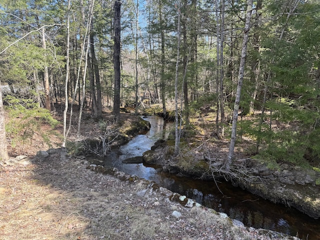 633 Norway Rd, Harrison, ME 04040 - view of nature