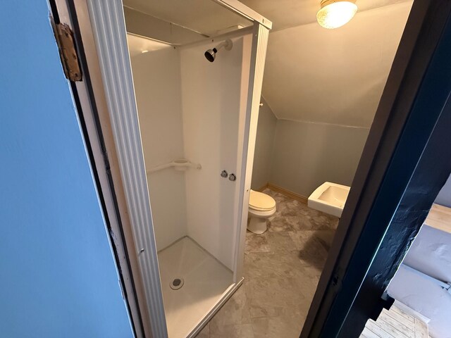 633 Norway Rd, Harrison, ME 04040 - bathroom featuring vaulted ceiling, toilet, and a shower stall