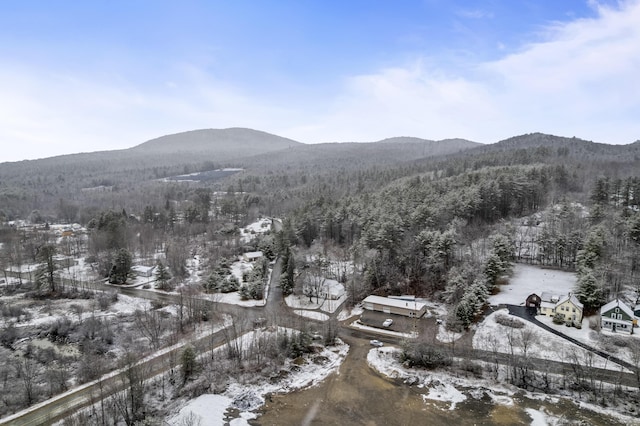 mountain view featuring a wooded view