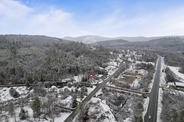 view of mountain feature with a forest view