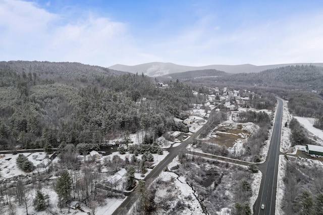 view of mountain feature with a wooded view