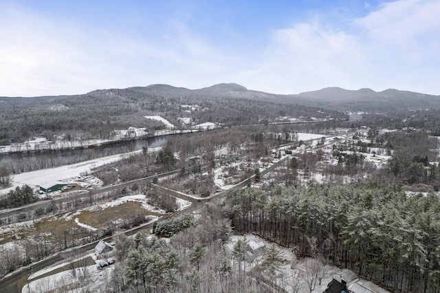 view of mountain feature