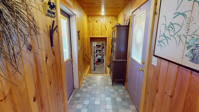 86 Webb Cove Dr, Lowell, ME 04493 - hall with light floors, wooden walls, a healthy amount of sunlight, and wooden ceiling