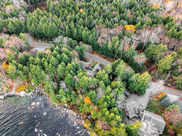 86 Webb Cove Dr, Lowell, ME 04493 - aerial view