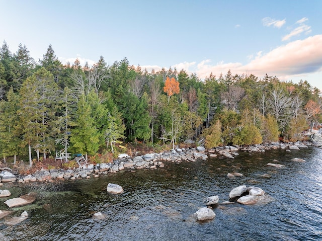 86 Webb Cove Dr, Lowell, ME 04493 - water view with a wooded view