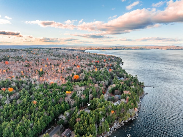86 Webb Cove Dr, Lowell, ME 04493 - bird's eye view with a water view