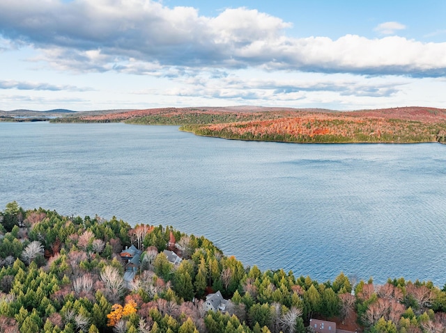 86 Webb Cove Dr, Lowell, ME 04493 - birds eye view of property with a water view and a view of trees