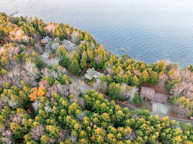 86 Webb Cove Dr, Lowell, ME 04493 - bird's eye view featuring a water view