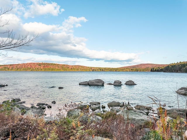 86 Webb Cove Dr, Lowell, ME 04493 - water view with a forest view
