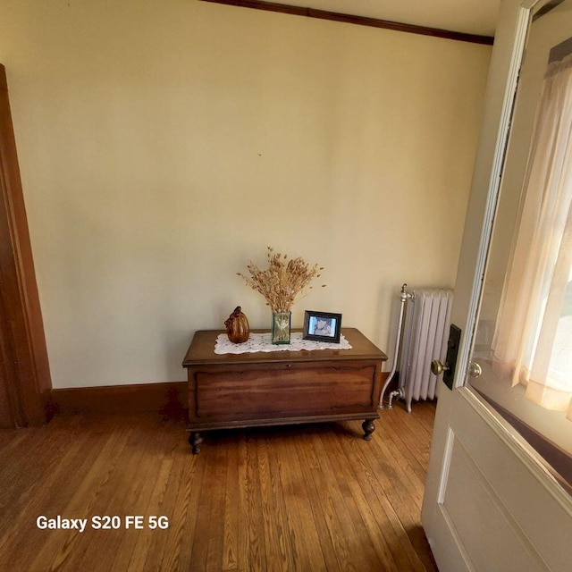 interior space featuring radiator, crown molding, wood finished floors, and baseboards