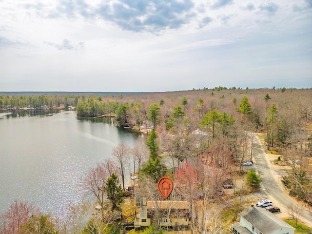 birds eye view of property featuring a water view and a wooded view