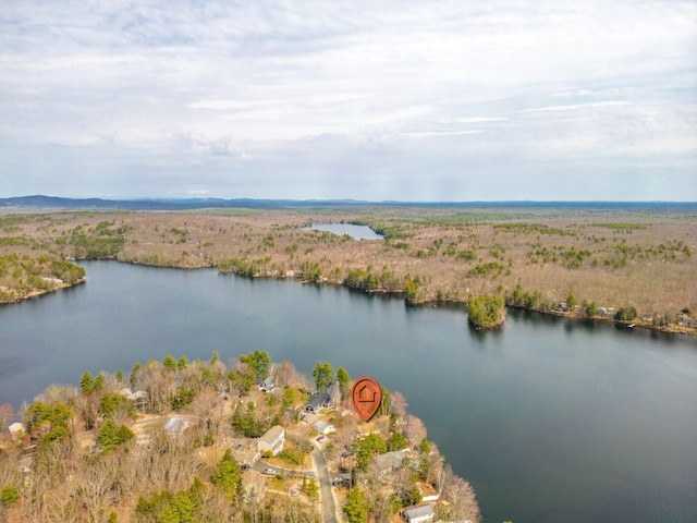 birds eye view of property with a view of trees and a water view