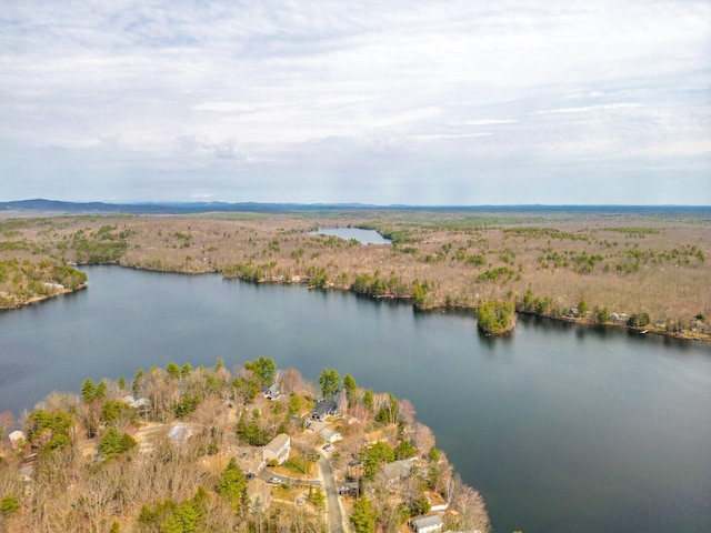 bird's eye view with a view of trees and a water view