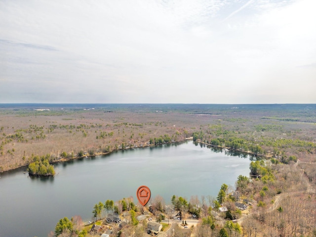 drone / aerial view with a water view and a wooded view