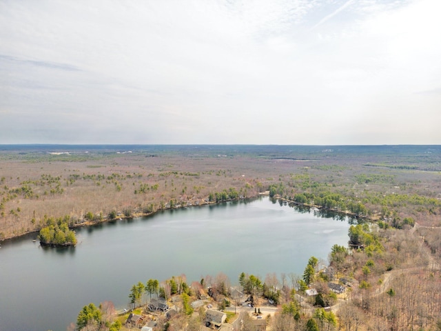aerial view with a water view and a wooded view