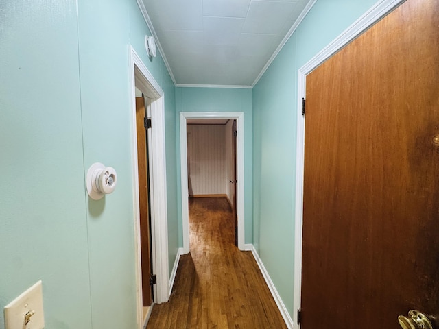 10 Laurette Cir, Caribou, ME 04736 - hall with wood finished floors, crown molding, and baseboards