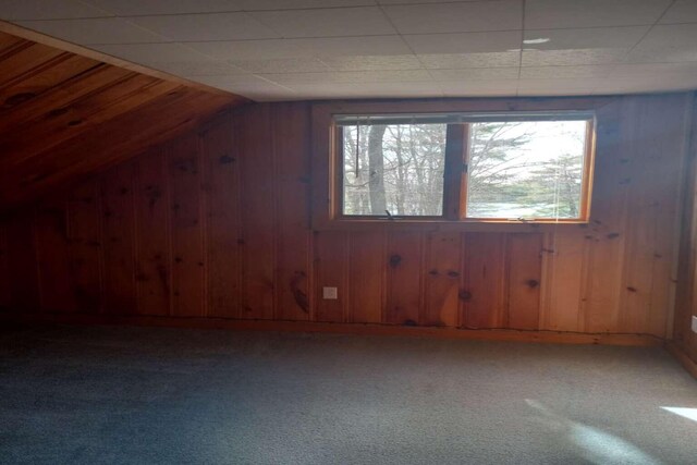 bonus room with wood walls, vaulted ceiling, and carpet