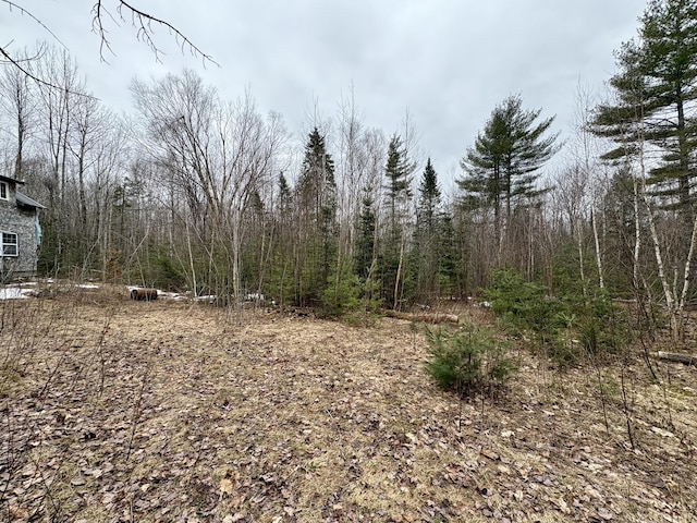 view of landscape with a wooded view