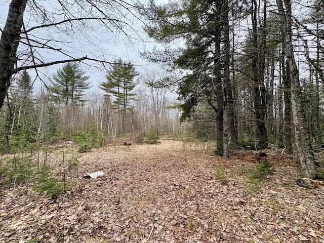view of landscape featuring a wooded view