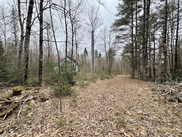 view of landscape featuring a view of trees