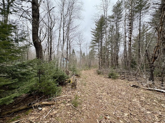 view of nature featuring a forest view