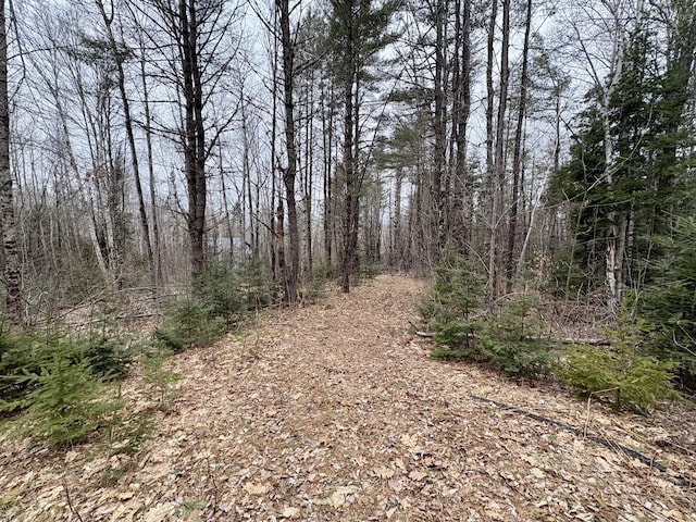 view of local wilderness featuring a forest view