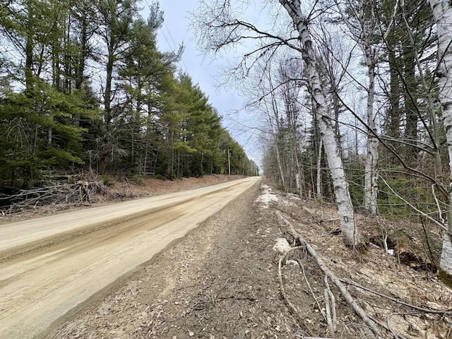 view of street with a wooded view