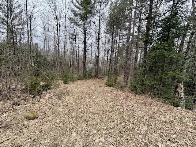 view of landscape featuring a forest view