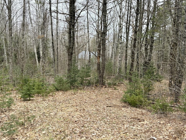 view of landscape featuring a forest view