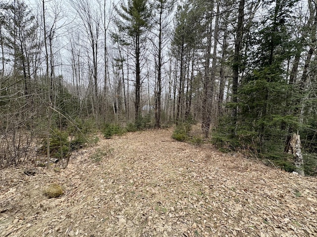 view of nature with a wooded view