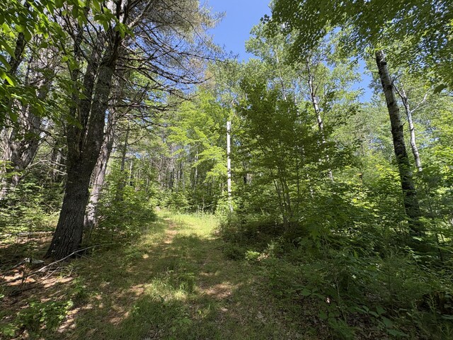 OFF Andrews Rd, Drew Plt, ME 04497 - photo 27