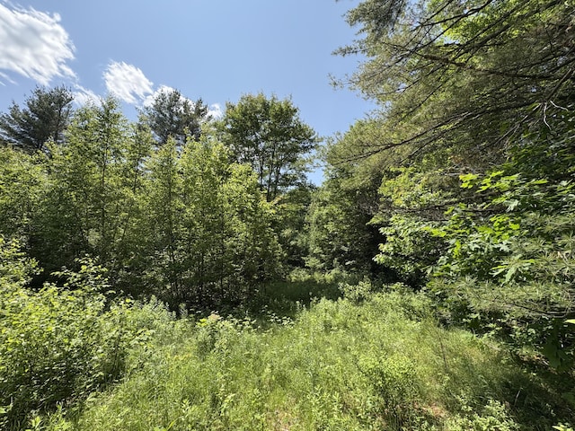 OFF Andrews Rd, Drew Plt, ME 04497 - photo 29