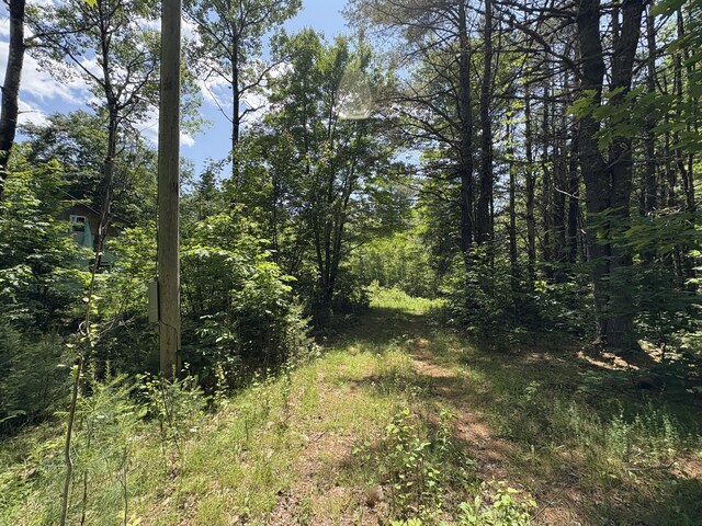 OFF Andrews Rd, Drew Plt, ME 04497 - photo 31