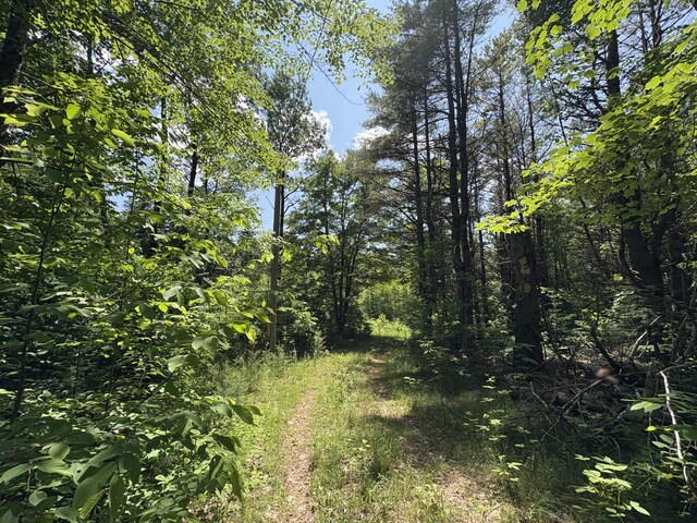 OFF Andrews Rd, Drew Plt, ME 04497 - photo 32