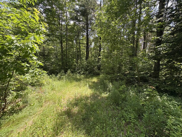 OFF Andrews Rd, Drew Plt, ME 04497 - photo 33