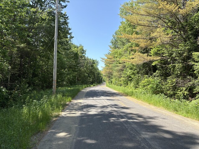 OFF Andrews Rd, Drew Plt, ME 04497 - photo 35